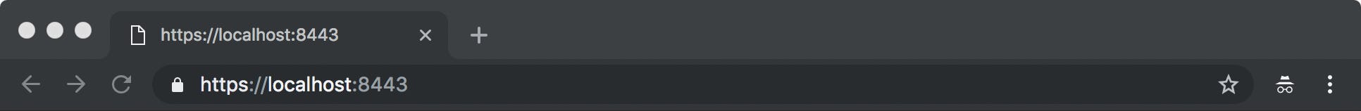 2019-02-25-localhost-tls.png